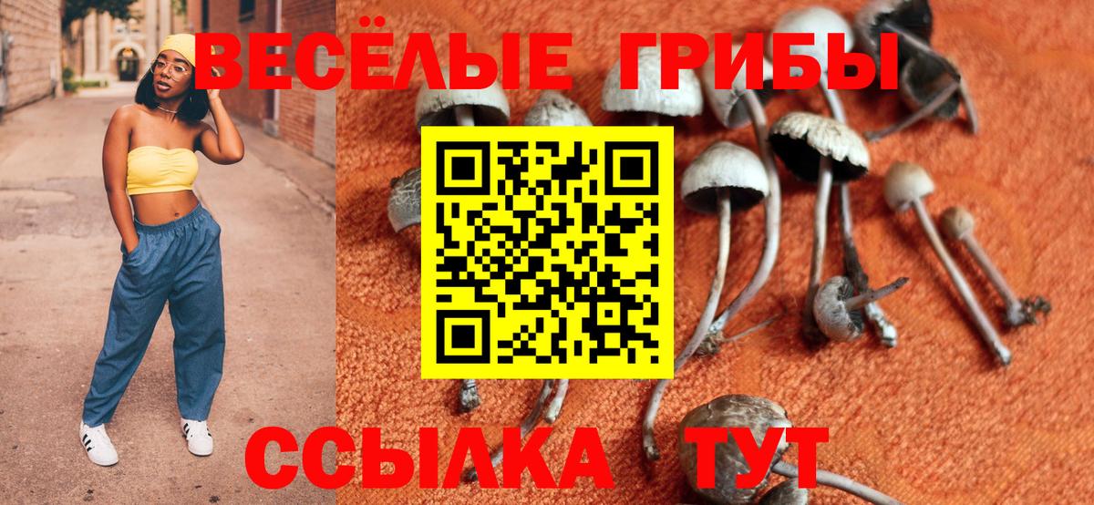 Галлюциногенные грибы прущие грибы Нефтекамск